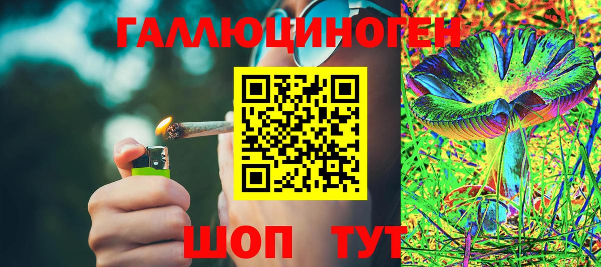 Галлюциногенные грибы прущие грибы  Вход с VPN  Галлюциногенные грибы мицелий  Верхняя Пышма 